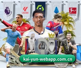 kai-yun-webapp.com.cn APP